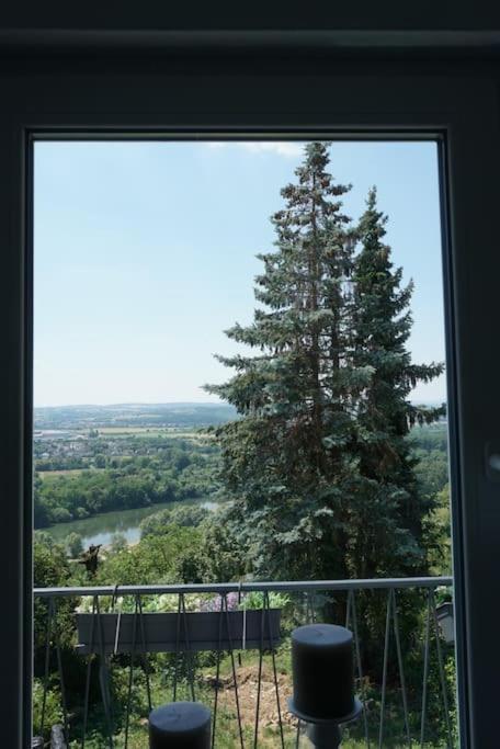 Ferienhaus Mit Schoener Aussicht Weitersburg エクステリア 写真