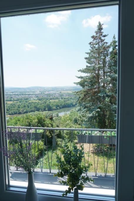 Ferienhaus Mit Schoener Aussicht Weitersburg エクステリア 写真