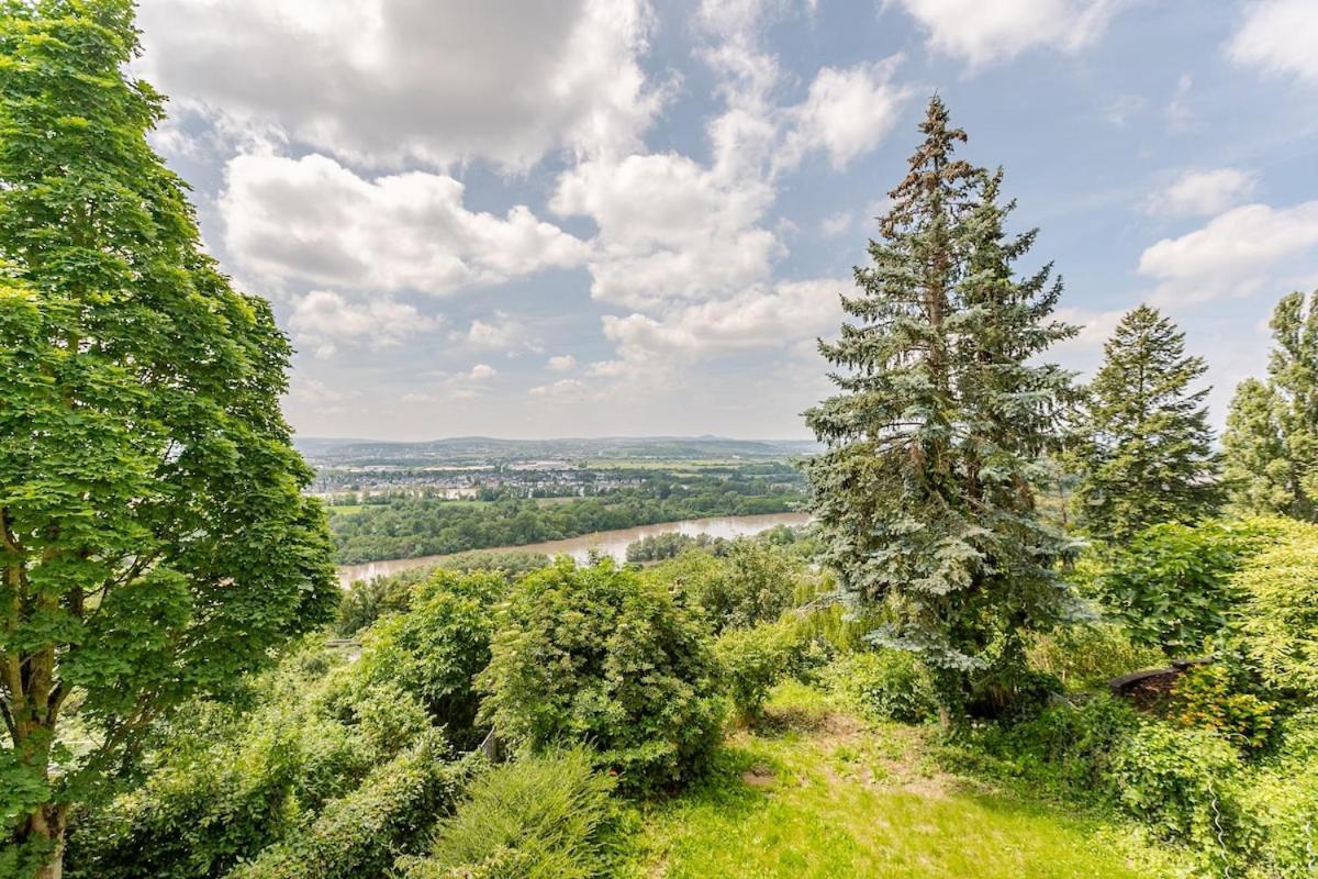 Ferienhaus Mit Schoener Aussicht Weitersburg エクステリア 写真